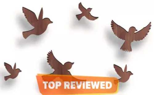 Flying Wooden Bird